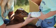 Monroe Co. students learn more about the farms that provide their meals