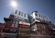 Maine Med addressing bat problem in neonatal intensive care unit