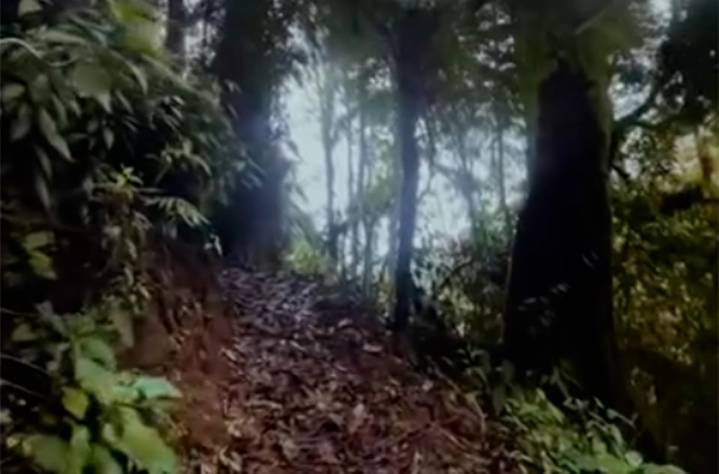 Habrá despojos de ejidos por proyectos ecoturísticos, alerta activista Rubén Espinoza