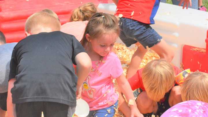 PHOTOS: Sawdust Coin Scramble, sack races highlight Kids Day at Cheboygan County Fair