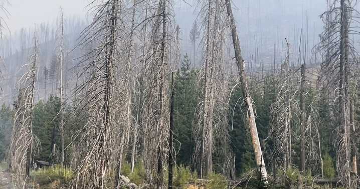 Lightning Creek Fire continues to grow