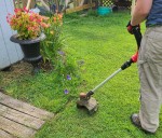 Weather hasn't helped CT gardeners fight weeds. How to catch up