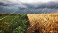 Ciclogénesis en el agro: “Se esperan tormentas intensas acompañadas con fuertes ráfagas de viento”