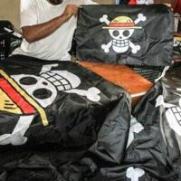 Indonesia cracks down on pirate protest flag