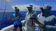 Reel Talk: Fishing with George Poveromo in the Keys