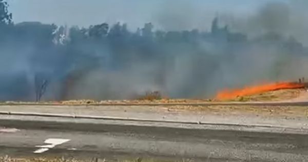 Gritos en plena ruta salteña: se prendió fuego todo el pastizal seco