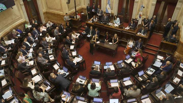 El Senado sesionará mañana por universidades, Garrahan y decretos delegados