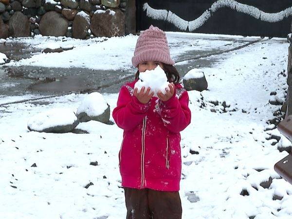 Nieve en Romeral