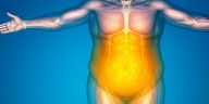Cómo funciona el ‘interruptor genético’ que descubrió Harvard y podría cambiar el tratamiento de la obesidad