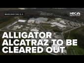 'Alligator Alcatraz' will likely be cleared out in days AP