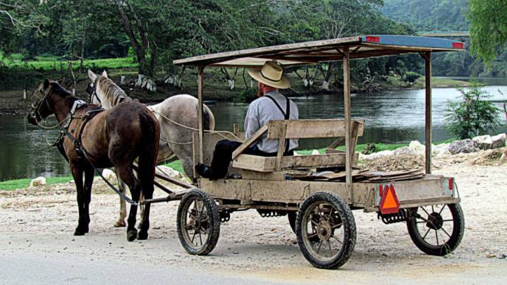 Discover Your Mennonite Nickname