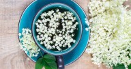 Cambio de temperaturas y resfrío: este té puede ser un buen aliado