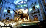 Trump pide investigar a los museos de EU; los acusa de tener ideología "woke"