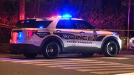 Female pedestrian dies after being struck by vehicle in New Haven