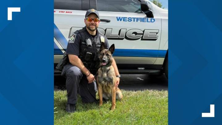 Westfield Police Department introduces new K