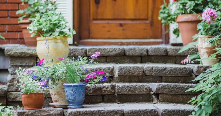 'My neighbour started a petty gardening war with her unacceptable demand'