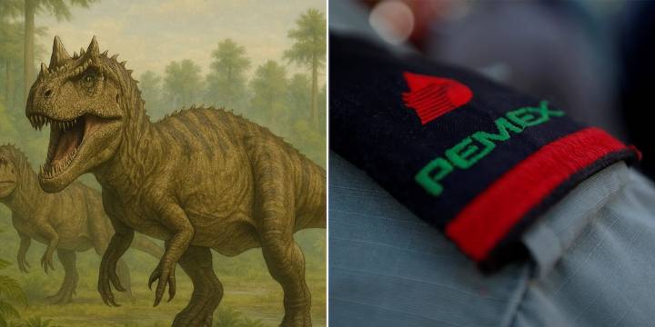 No fueron arqueólogos: fue Pemex quien descubrió el meteorito de Yucatán que extinguió a los dinosaurios del planeta