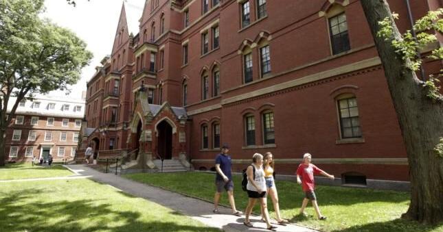 Harvard scientists say research could be set back years after funding freeze