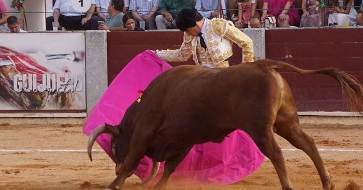 Novillada mixta con picadores en Guijuelo, 17 de agosto