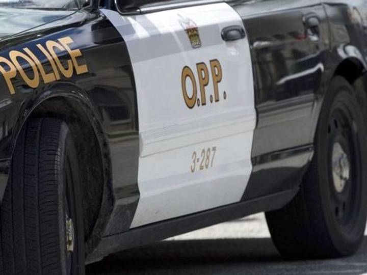 Sault driver nearly hits Goulais River resident: OPP