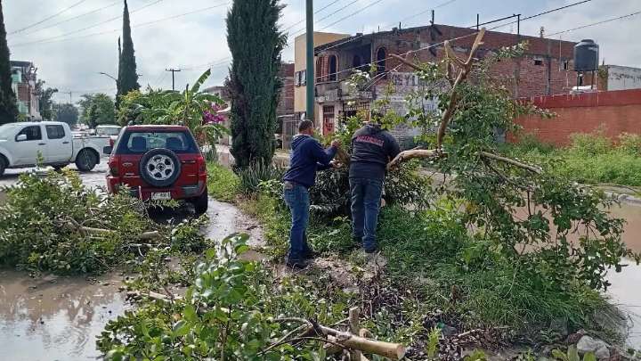 Lluvia en La Piedad provocó afectaciones en al menos 20 viviendas