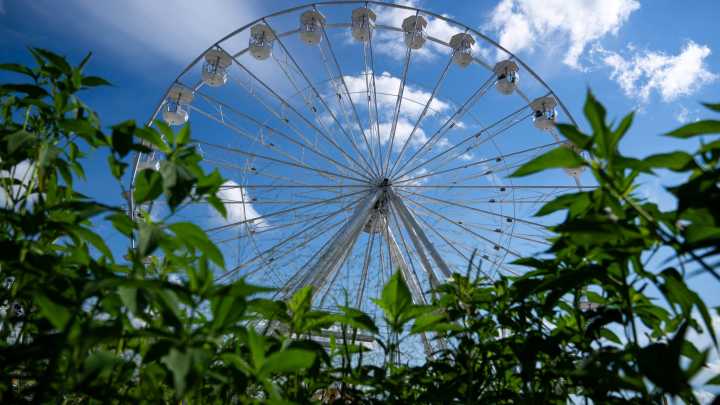 What's happening Tuesday, Aug. 12 at the Iowa State Fair 2025