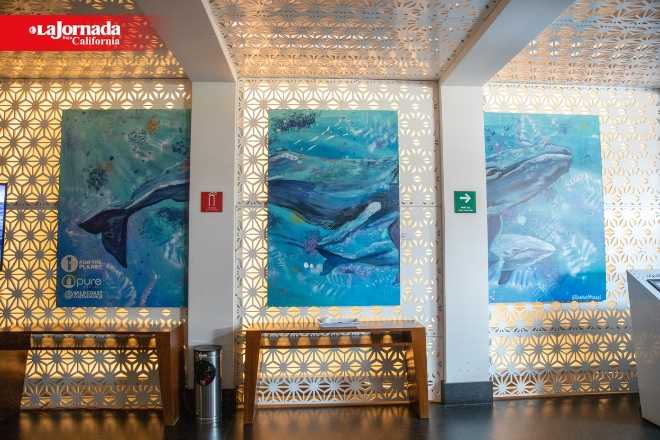 Por medio del arte hacen un llamado a proteger la vida marina
