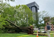 Free Disaster Relief Workshops in Springfield this week