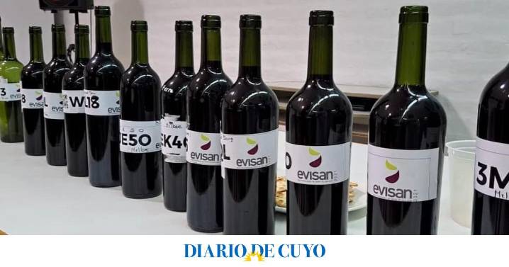 La Evaluación de Vinos de San Juan cierra con una gran fiesta