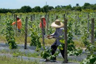 Estos son los mejores y los peores estados para trabajar en 2025, según revelador informe