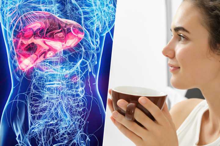El hígado graso afecta a uno de cada cuatro adultos: así es como el café y el té verde se han colado en la lista de aliados