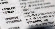 Skibidi, tradwife and delulu among new words added to Cambridge Dictionary