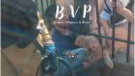 Bomberos de Paraná rescataron a un perro atrapado en una reja