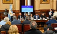 Senado: la oposición logró dictaminar la emergencia en pediatría