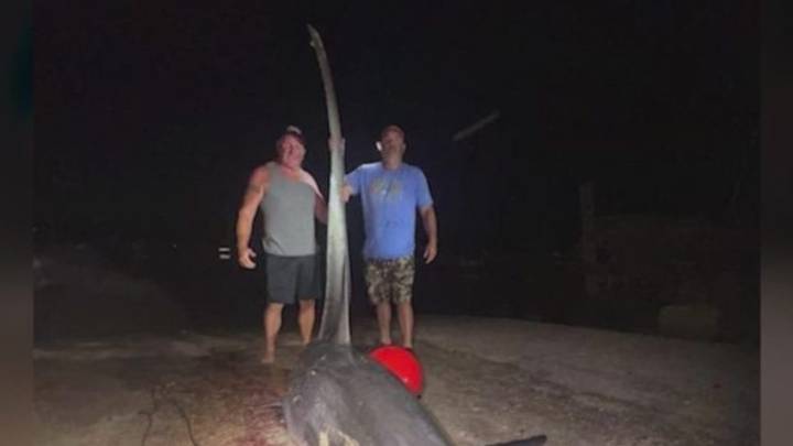 700-pound shark caught off Connecticut coast may break state record