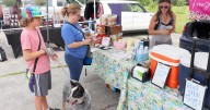 City of Union considers dog ban at festivals