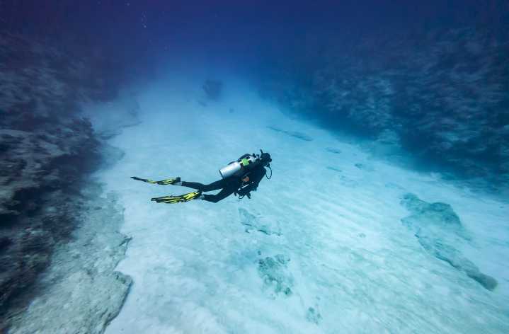 Civil Beat Series On Threats To Northwest Hawaiian Islands Wins National Award