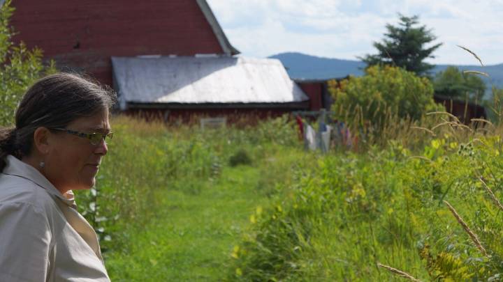 Daphne Kalmar on teaching elementary school, which is a little like being a short order cook