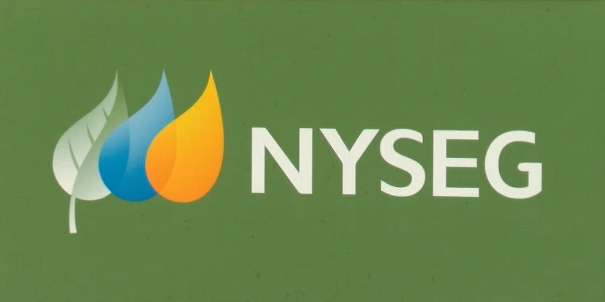 NYSEG’s “Powering New York” plan may lead to price increases