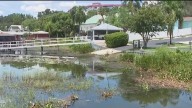 Mount Dora residents say trash-filled canal threatens Lake Dora