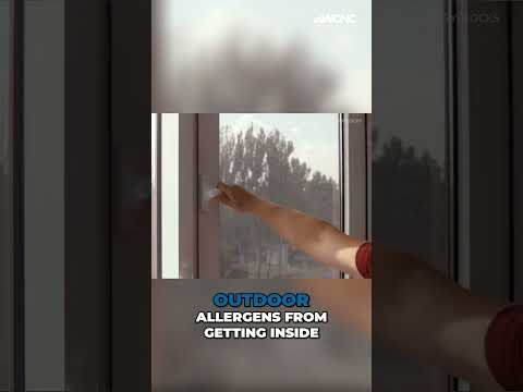 Fall allergy relief: Expert advice on keeping the symptoms away