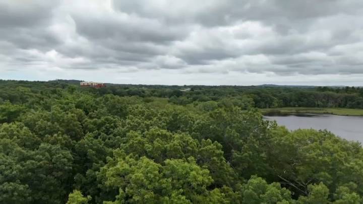 New England fall foliage season is soon but trees are stressed