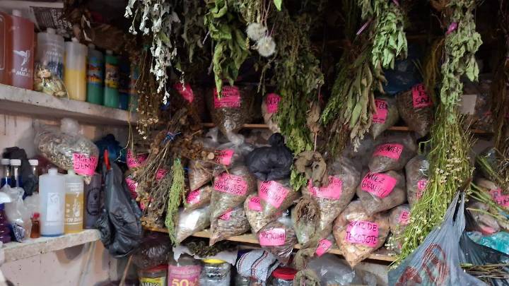 “Medicina con plantas siempre ha existido”; yerberas del mercado Revolución ofrecen remedios