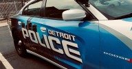 Peacenic celebration to take place August 30 in Detroit's Skinner Park
