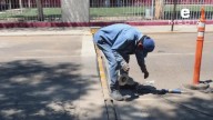 Hermosillo prueba primer tope inteligente: así funciona