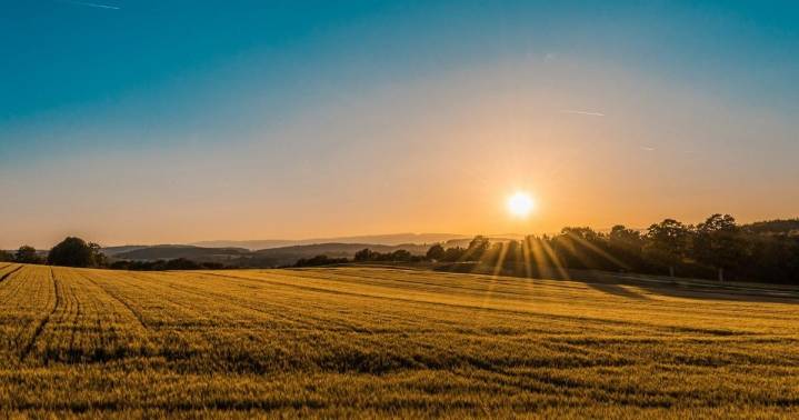 COLUMN: Early Morning Drives