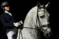 Una modificación genética fue clave para que los caballos fueran aptos para la monta – NotiCel 