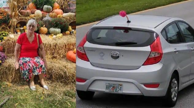 Update: Missing Oldsmar Woman Located And Safe