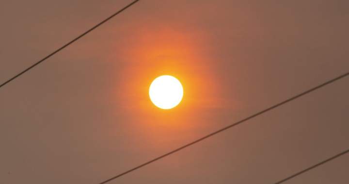 Newfoundland’s largest wildfire gains ground amid dry, windy conditions