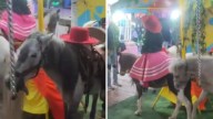 Piden a la Fenapo frenar y prohibir maltrato animal en atracciones